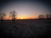 IMG_0461_800